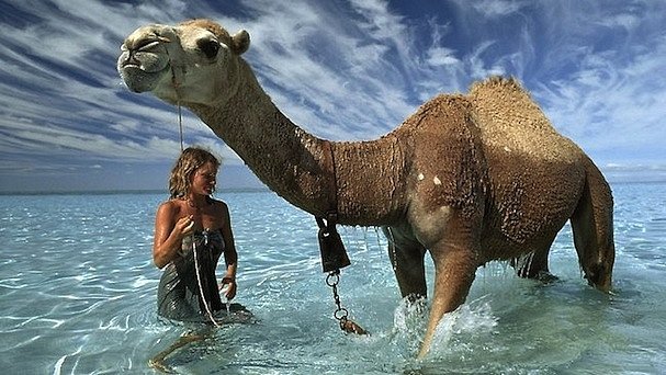 10 хороших фильмов, которые вы пропустили этим летом (часть первая) - Изображение 8 10 хороших фильмов, которые вы пропустили этим летом (часть первая) - Изображение 8