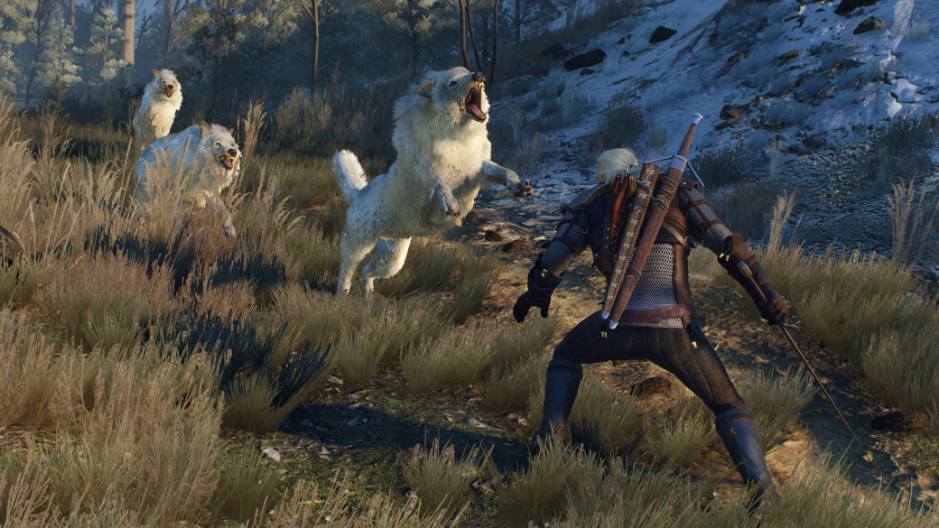 Рецензия на The Witcher 3: Wild Hunt - Изображение 1 Рецензия на The Witcher 3: Wild Hunt - Изображение 1