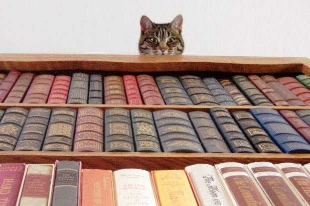 Новинки книжного рынка за последние две недели №4 - Изображение 1 Новинки книжного рынка за последние две недели №4 - Изображение 1