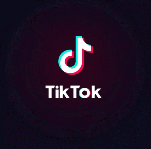 TikTok запретили в Индии