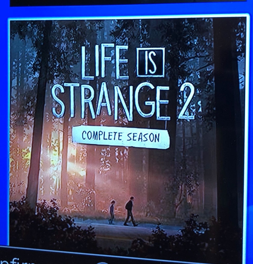 Обложка Life is Strange 2 утекла в Сеть за сутки до анонса. Главная фанатская теория подтвердилась!. - Изображение 2